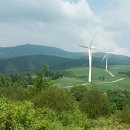 1073목장 이미지