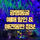 광명동굴 이미지