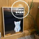 고대로41