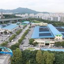 싱싱농수산 이미지
