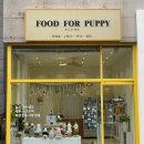 포퍼피(FOR PUPPY) 이미지