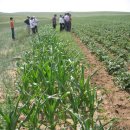 갈렙농장 이미지