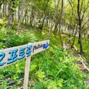 자작나무 조형물 이미지