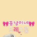 꽁냥이네드레스룸