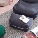 폴리몰리
