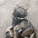 뻐끔뻐끔