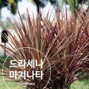 누아즈드힐 이미지