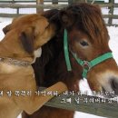 기억