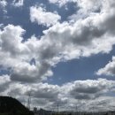 명품예산국수