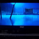 7년의밤 영화 VOD로 봤음 간단 후기