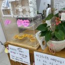 영남고등학교 | 대구 최초 두바이 쫀득 김밥 파는곳 예약 방법 내돈내산(feat.품절대란)ㅣ상인 플플커피