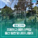 혁신도시명품음식거리 | 조용하고 예쁜 산책길, 아기랑 함께한 울산 동헌 및 내아 나들이