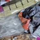 탁이온 카카오 검색결과