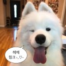 죽지도 않고 돌아온 7월 (7월이 안죽었다는 뜻)