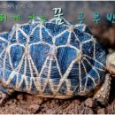 [느리게 가는 꿈 공부반] 집단(비대면, 7/6, 10주,일요일) 모집합니다. 이미지