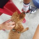 을왕주유소 이미지