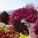 마산-중앙-중앙센터-17 이미지