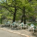 화양식당 이미지