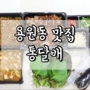 용원동 맛집 통달배 족발 푸짐해