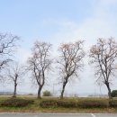 광성보주차장 이미지