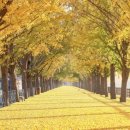 은행1공영주차장 이미지