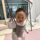 졸리스탠스