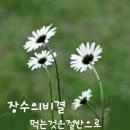 소풍2