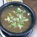 낙지청춘 이미지