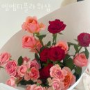 엠엠티 이미지