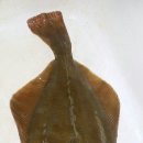 낚시수산 이미지