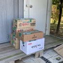 단풍농장 이미지