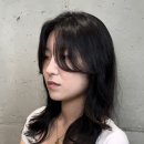 더모던화이불치