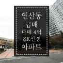 선경SK공인중개사사무소 이미지
