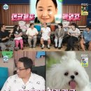 실버광고