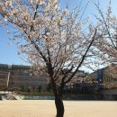 서울영남초등학교 이미지