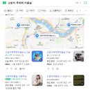 살랑 그루밍 | [고양이 상식] 고양이 털관리는 어떻게 해야 하죠? 미용을 해야 하나요?