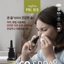 피엔엘