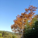 편백나무펜션 - 경주시 문복로 850-2 | 편백나무펜션
