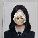 보성시장 (시민회관방면) | 제주 사진관 중학생 입소문 사진관 인생증명사진 원스로그