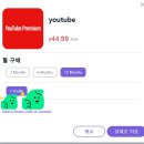 뜨는 돌 | 유튜브 프리미엄 싸게 보는 할인방법 상세공유후기 돌로퍼 추가할인 쿠폰코드