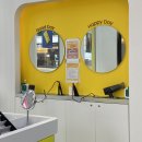 스냅치즈 이미지