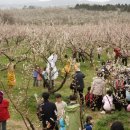 시전동주민자치센터 이미지