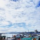 한섬해안길 | 묵호, 정동진 여행 ꕀ (묵호항, 도깨비골 해랑전망대, 한섬해안길)(코레일 기차여행 후기)