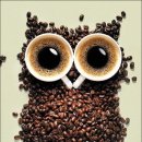 바리스타 1급 이미지