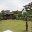 아지랑냉이랑 이미지