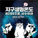 100 이미지