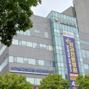 [표피낭종 피지낭종 겨드랑이통증 제거수술 후기]