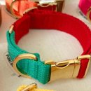 포리하우스 이미지