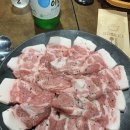 호야뒷고기 | 대구 동천역 맛집 호야뒷고기에서 뒷고기 한판 먹은 후기