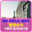 강남ALL바른부동산공인중개사사무소 | 대치 푸르지오 발라드 신축 분양정보 구룡역 대치동 학원가 양재천 옆 후 분양